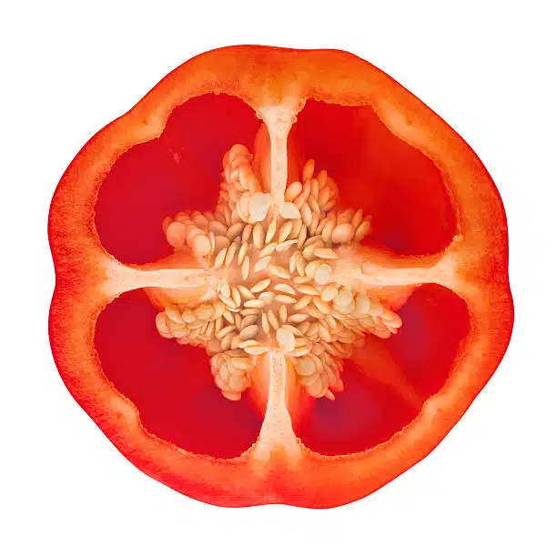 Bell peppers are considered a fruit because it contains seeds.