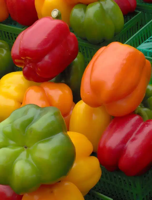 Bell Pepper Nutrition, Health Benefits and How to Select - Dr. Axe