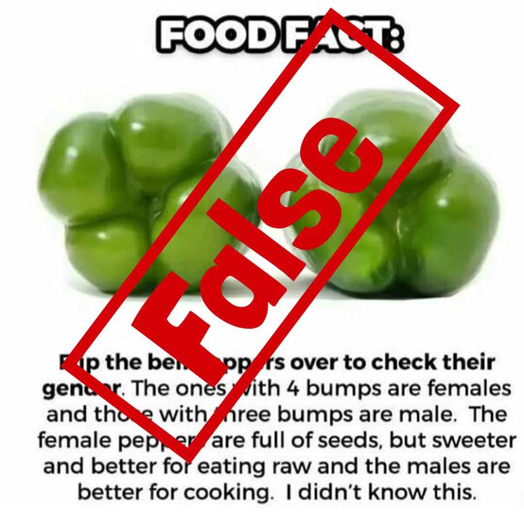 Bell peppers do not have gender.
