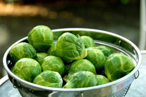 Brussels sprouts cleaned with Earth’s Natural Fruit & Vegetable Wash and ready to prepare for Farr Better Recipes®