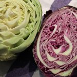 Cabbage
