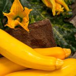 Yellow Squash