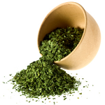 Cilantro