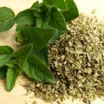 Purchase Oregano