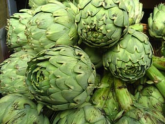 Did you know that there are actually about 140 different artichoke varieties in existence? Of these 140, only about 40 are grown commercially to be sold as food.